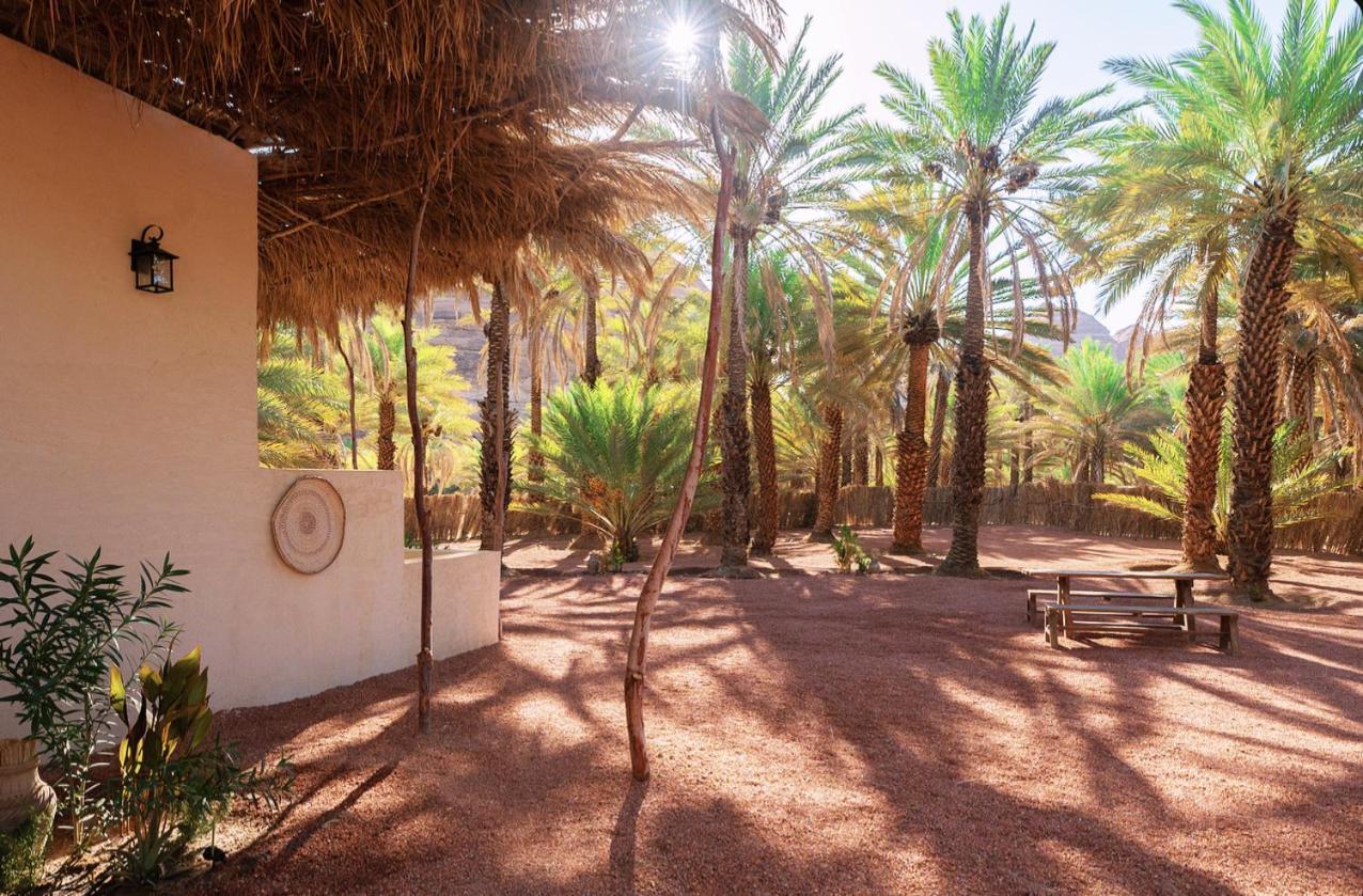 Madain Saleh Under Las Palms Alula酒店 外观 照片