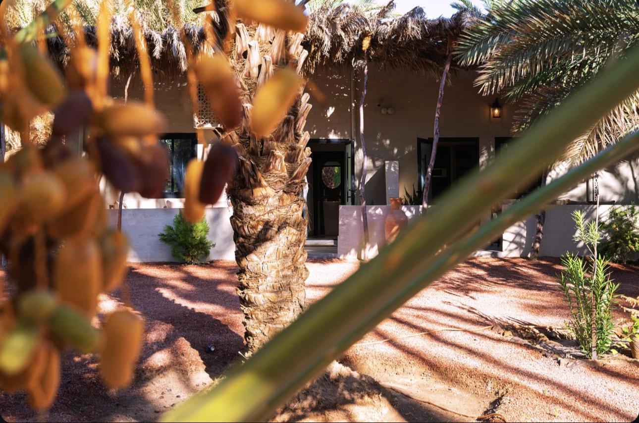 Madain Saleh Under Las Palms Alula酒店 外观 照片