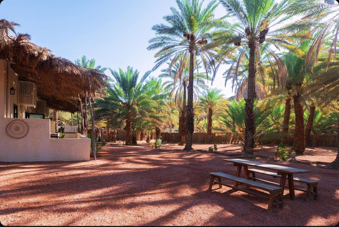 Madain Saleh Under Las Palms Alula酒店 外观 照片